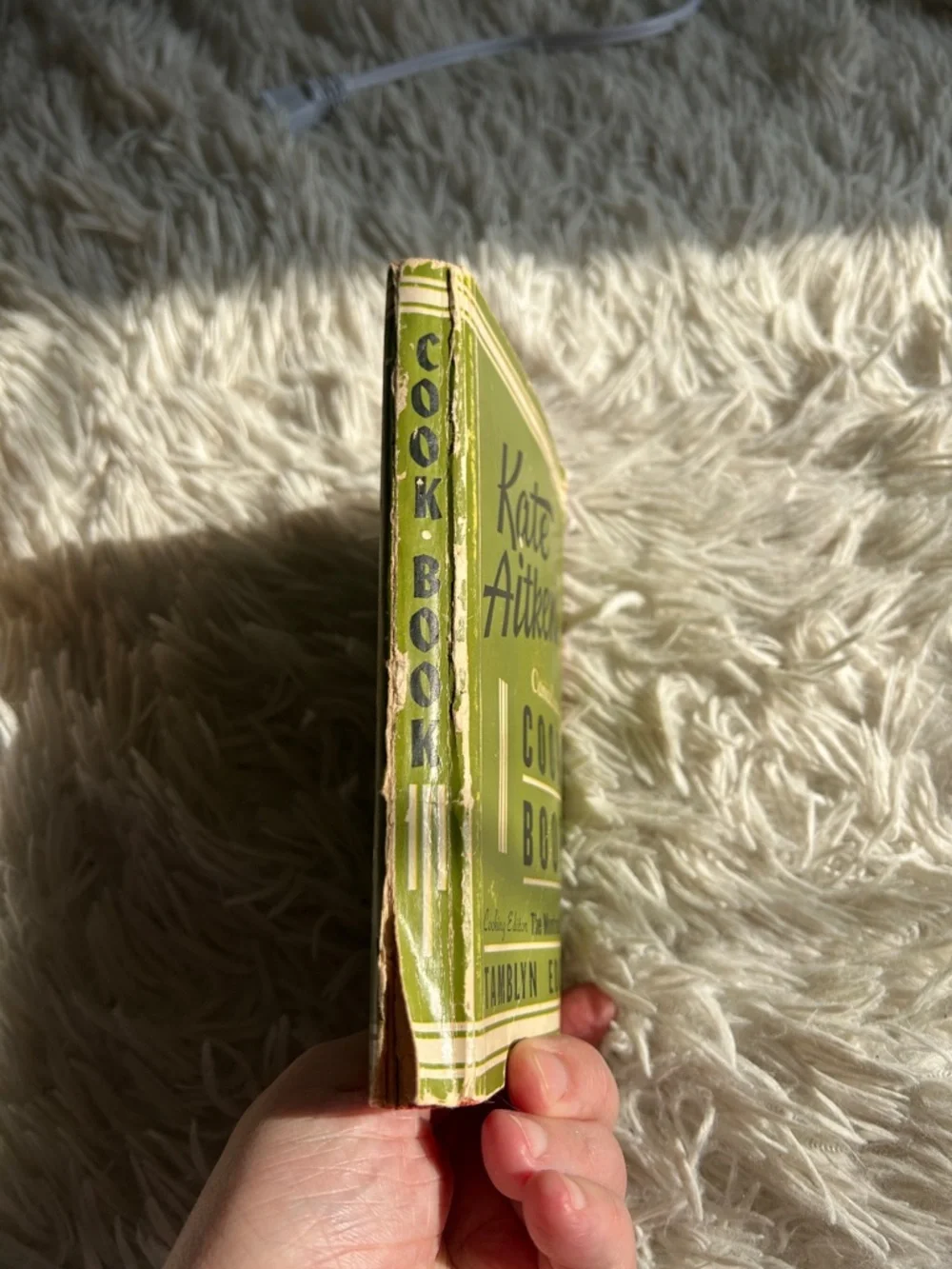 Kate Aitken's Canadian Cook Book - Olive Green Cover, vintage aesthetic, tamblyn - Picture 4 of 6